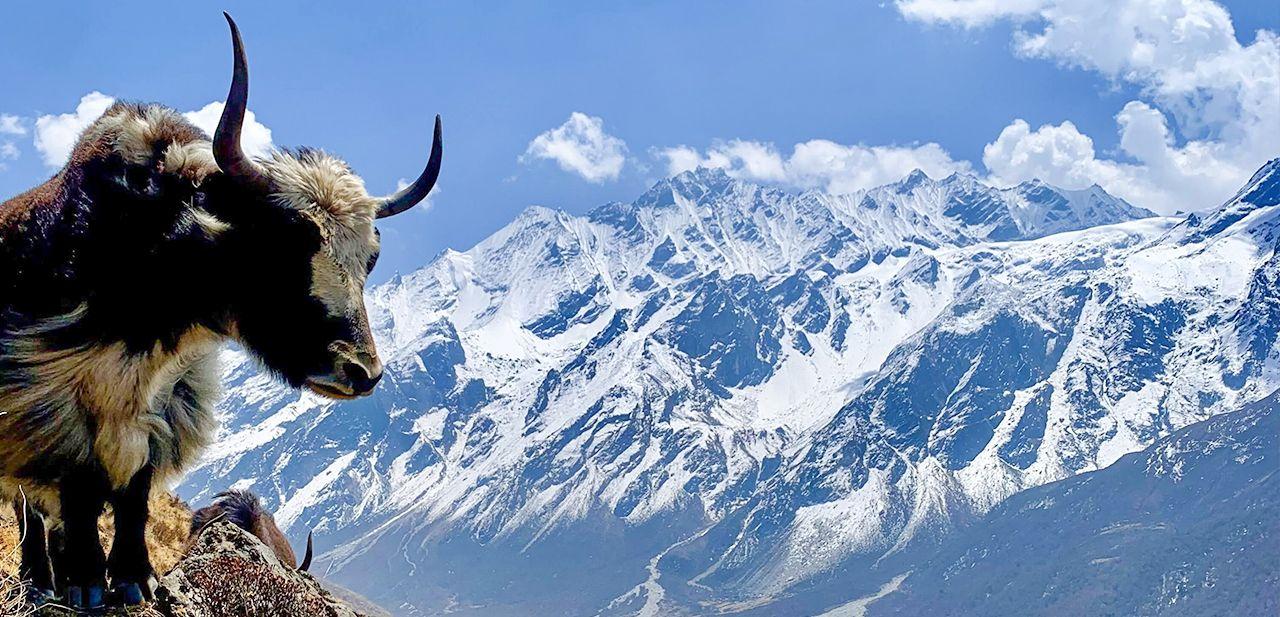 Langtang Valley Trekking 13 days