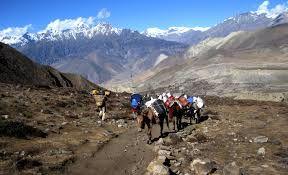 Jomsom Muktinath Trekking 15 days