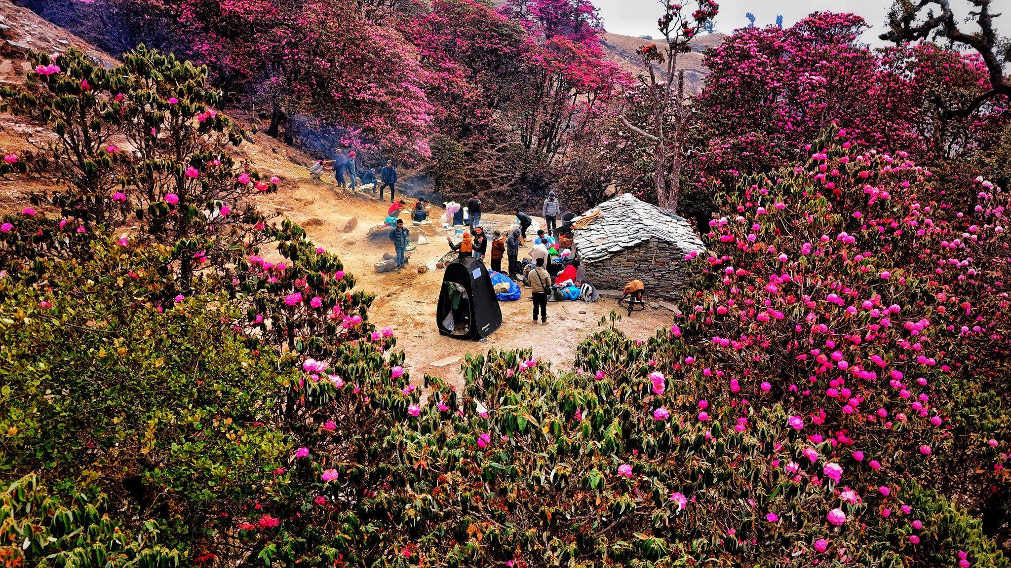 Ghandruk Village Trekking 10 days