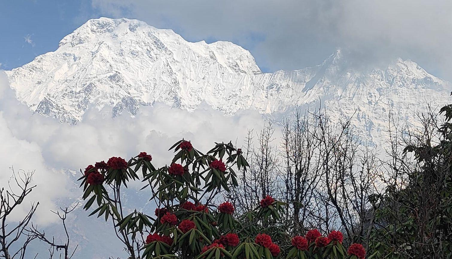 Annapurna Region collection image